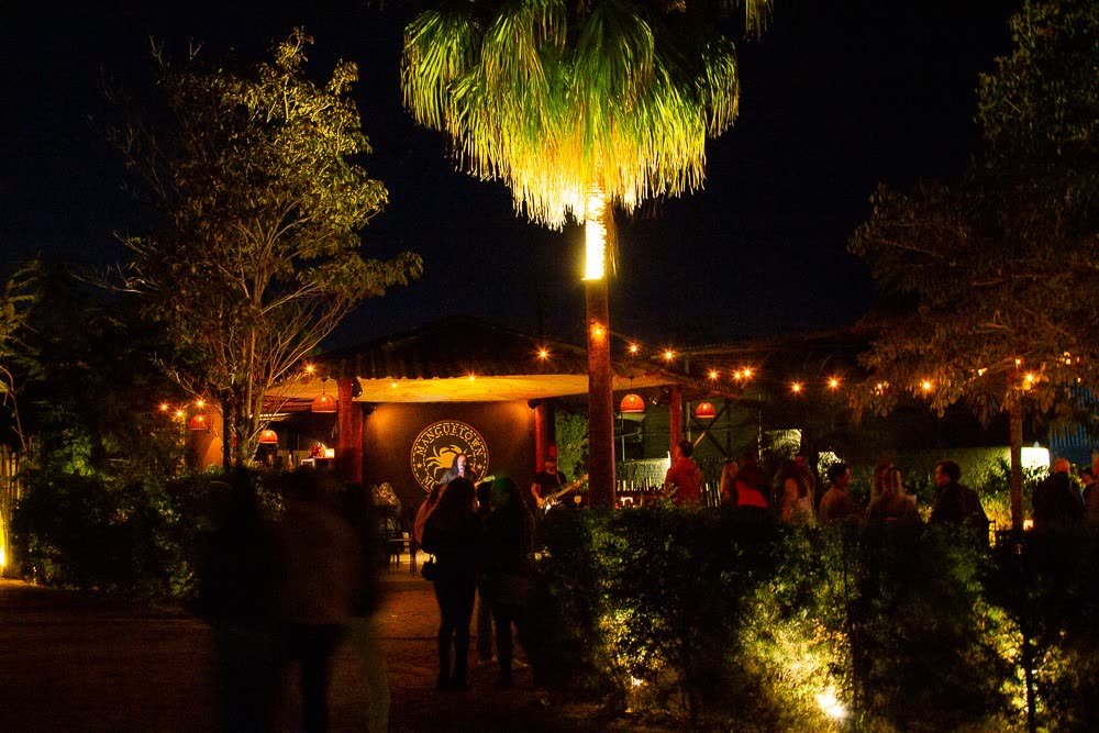 Entrada do Manguetown à noite com palmeira iluminada